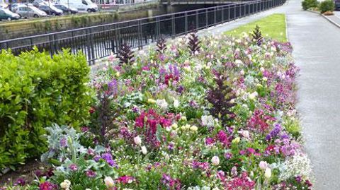 Un des massifs fleuris de Lannion (22). Leur visite sera au programme des prochains Carrés fleuris de Graines Voltz.(Pascal Fayolle) Un des massifs fleuris de Lannion (22). Leur visite sera au programme des prochains Carrés fleuris de Graines Voltz.(Pascal Fayolle)