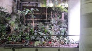 La serre de la gare de Lyon, sur la ligne 14, installée en 1998, montre les difficultés d'installer des végétaux dans le métro parisien, malgré les avantages offerts en termes de dépollution potentielle.(c)Pascal Fayolle La serre de la gare de Lyon, sur la ligne 14, installée en 1998, montre les difficultés d'installer des végétaux dans le métro parisien, malgré les avantages offerts en termes de dépollution potentielle.(c)Pascal Fayolle