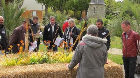 La ville de Lannion (22) et l'entreprise Graines Voltz avaient creusé de grosses balles de paille pour y installer des associations de plantes originales, lors des « Carrés fleuris ». ©Pascal Fayolle La ville de Lannion (22) et l'entreprise Graines Voltz avaient creusé de grosses balles de paille pour y installer des associations de plantes originales, lors des « Carrés fleuris ». ©Pascal Fayolle