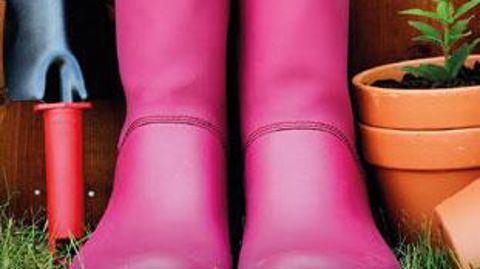 Des bottes fluo et des outils colorés : la une du guide, réalisé conjointement par l'Onisep, la FNMJ et le Fafsea, est typique de l'évolution des jardineries, bien au-delà du classique végétal. Elle aurait toutefois pu également illustrer les nouvelles technologies numériques. ©ONISEP/FNMJ Des bottes fluo et des outils colorés : la une du guide, réalisé conjointement par l'Onisep, la FNMJ et le Fafsea, est typique de l'évolution des jardineries, bien au-delà du classique végétal. Elle aurait tou