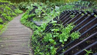 Phoenix (Jardin n°19 bis) : il s'agit d'une allégorie sur le pouvoir des plantes après une catastrophe. À découvrir à Chaumont-sur-Loire ce printemps et cet été. ©Philippe Grolier Phoenix (Jardin n°19 bis) : il s'agit d'une allégorie sur le pouvoir des plantes après une catastrophe. À découvrir à Chaumont-sur-Loire ce printemps et cet été. ©Philippe Grolier