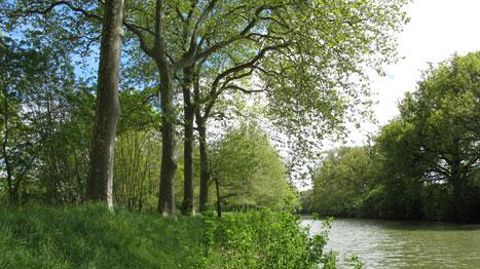 Le nouvel arrêté du 4 mai encadrant l'utilisation des produits phytosanitaires reste proche du texte de 2006, avec quelques nouveaux articles sur les délais de rentrée, les EPI et l'interdiction de toute application directe de produit sur les éléments du réseau hydrographique.© Le nouvel arrêté du 4 mai encadrant l'utilisation des produits phytosanitaires reste proche du texte de 2006, avec quelques nouveaux articles sur les délais de rentrée, les EPI et l'interdiction de toute application direc