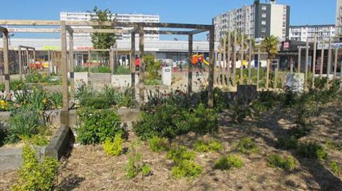 Faire les bons choix dès la conception, bien appréhender la gestion et le fleurissement pour rendre le végétal plus facile à entretenir dans les aménagements urbains, tels sont les objectifs des conférences du pôle paysage du Salon du végétal cette année.(c)Pascal Fayolle Faire les bons choix dès la conception, bien appréhender la gestion et le fleurissement pour rendre le végétal plus facile à entretenir dans les aménagements urbains, tels sont les objectifs des conférences du pôle paysage du S