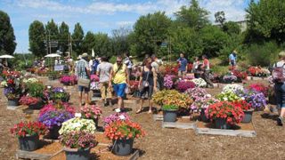Le jardin de comportement du Ratho, à brindas (69), permet aux professionnels d'évaluer les nouvelles variétés. Afin de recueillir l'avis du grand public, la station met en place de nouveaux sites de démonstration.(c)Valérie Vidril Le jardin de comportement du Ratho, à brindas (69), permet aux professionnels d'évaluer les nouvelles variétés. Afin de recueillir l'avis du grand public, la station met en place de nouveaux sites de démonstration.(c)Valérie Vidril
