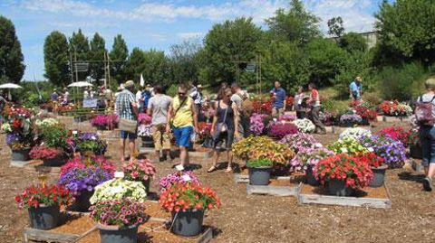 Le jardin de comportement du Ratho, à brindas (69), permet aux professionnels d'évaluer les nouvelles variétés. Afin de recueillir l'avis du grand public, la station met en place de nouveaux sites de démonstration.(c)Valérie Vidril Le jardin de comportement du Ratho, à brindas (69), permet aux professionnels d'évaluer les nouvelles variétés. Afin de recueillir l'avis du grand public, la station met en place de nouveaux sites de démonstration.(c)Valérie Vidril