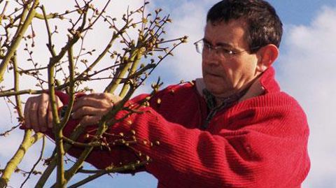 Michel Le Borgne, gérant des pépinières Drappier (59) et animateur du pôle paysage de la FNPHP et Président délégué à la Pépinière de la FNPHP Michel Le Borgne, gérant des pépinières Drappier (59) et animateur du pôle paysage de la FNPHP et Président délégué à la Pépinière de la FNPHP