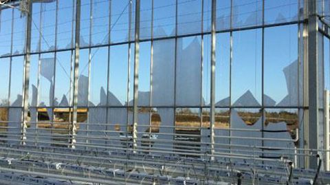 Il est toujours bon d'avoir un peu de verre en stock, un kit de dépannage ou une longueur de bâche pour pouvoir faire un minimum de réparations d'urgence et limiter les pertes. ©GBV Il est toujours bon d'avoir un peu de verre en stock, un kit de dépannage ou une longueur de bâche pour pouvoir faire un minimum de réparations d'urgence et limiter les pertes. ©GBV