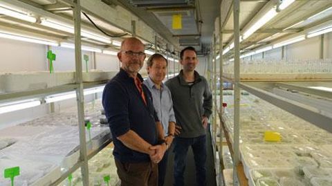 De gauche à droite : Gilles Colinet, actuel directeur d'André Briant Jeunes Plants et gérant du nouveau LAP, Dominique Ménard, directeur du LAP et Mathieu Bilotte, associé dans le LAP et directeur actuel des pépinières Multibaies. © LAP De gauche à droite : Gilles Colinet, actuel directeur d'André Briant Jeunes Plants et gérant du nouveau LAP, Dominique Ménard, directeur du LAP et Mathieu Bilotte, associé dans le LAP et directeur actuel des pépinières Multibaies. © LAP