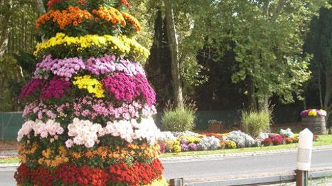 Pour mettre la ville en valeur, une soixantaine de jardinières, ainsi qu'une tour de plus de 2,20 m, ont été mises en culture par Jean-Louis Martinet, horticulteur à Carcassonne, épaulé par Jean Vincent, en stage d'insertion professionnelle - PHOTO : J.-L. MARTINET Pour mettre la ville en valeur, une soixantaine de jardinières, ainsi qu'une tour de plus de 2,20 m, ont été mises en culture par Jean-Louis Martinet, horticulteur à Carcassonne, épaulé par Jean Vincent, en stage d'insertion professio