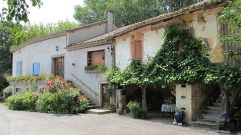 Une vigne ou des « végétaux d'ornement », comme nous les qualifions dans la filière, pour agrémenter une façade ? Le consommateur ne fait pas la différence et la qualification « d'ornemental » ainsi que sa connotation de « qui ne sert à rien et est secondaire », ne peuvent que nuire à la consommation ! (c)Pascal Fayolle Une vigne ou des « végétaux d'ornement », comme nous les qualifions dans la filière, pour agrémenter une façade ? Le consommateur ne fait pas la différence et la qualification « 