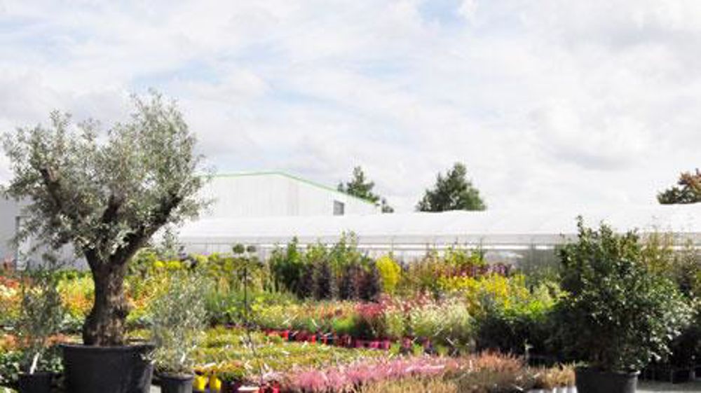 L'espace intérieur de Plandanjou Market, le « cash & carry » que le groupement de pépinières a ouvert en septembre. (c)Isabelle Cordier L'espace intérieur de Plandanjou Market, le « cash & carry » que le groupement de pépinières a ouvert en septembre. (c)Isabelle Cordier