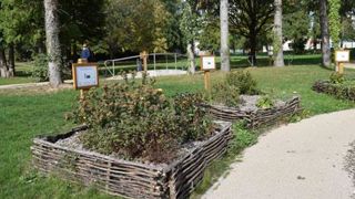 Le bois d'oeuvre a permis à la commune de Cerizay (79) de réaliser de nombreux aménagements, parmi lesquels ces carrés accueillant diverses espèces végétales au sein d'un parc. © Anne Mabire Le bois d'oeuvre a permis à la commune de Cerizay (79) de réaliser de nombreux aménagements, parmi lesquels ces carrés accueillant diverses espèces végétales au sein d'un parc. © Anne Mabire Le bois d'oeuvre a permis à la commune de Cerizay (79) de réaliser de nombreux aménagements, parmi lesquels ces carrés accueillant diverses espèces végétales au sein d'un parc. © Anne Mabire Le bois d'oeuvre a permis à la commune de Cerizay (79) de réaliser de nombreux aménagements, parmi lesquels ces carrés accueillant diverses espèces végétales au sein d'un parc. © Anne Mabire