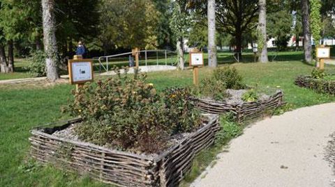 Le bois d'oeuvre a permis à la commune de Cerizay (79) de réaliser de nombreux aménagements, parmi lesquels ces carrés accueillant diverses espèces végétales au sein d'un parc. © Anne Mabire   Le bois d'oeuvre a permis à la commune de Cerizay (79) de réaliser de nombreux aménagements, parmi lesquels ces carrés accueillant diverses espèces végétales au sein d'un parc. © Anne Mabire  