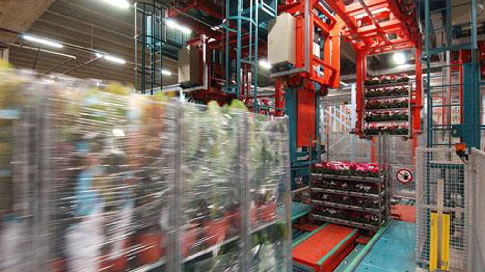 En négociant avec la Turquie, Royal FloraHolland espère augmenter ses exportations vers le pays. ©RFH En négociant avec la Turquie, Royal FloraHolland espère augmenter ses exportations vers le pays. ©RFH