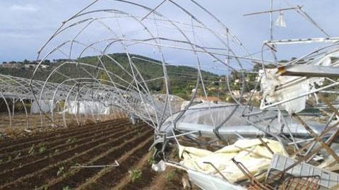 Les abris serres ont été les plus impactées, avec 12 ha concernés, dont environ 3 ha dévitrées et 16 ha d'abris plastique entièrement détruits. (c)CA83 Les abris serres ont été les plus impactées, avec 12 ha concernés, dont environ 3 ha dévitrées et 16 ha d'abris plastique entièrement détruits. (c)CA83