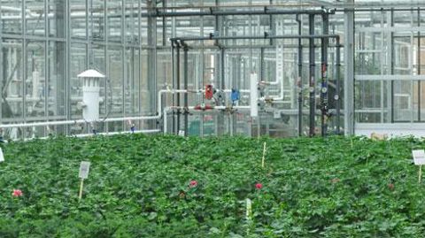 La serre du futur devrait passer à une gestion à l'échelle globale de la production, avec des outils de calcul puissants afin de trouver la meilleure stratégie en permanence, en se connectant à un serveur extérieur. ©ARIA La serre du futur devrait passer à une gestion à l'échelle globale de la production, avec des outils de calcul puissants afin de trouver la meilleure stratégie en permanence, en se connectant à un serveur extérieur. ©ARIA