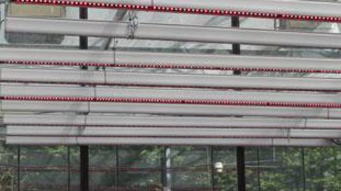 Deux actions Astredhor, consacrées à la production de plantes horticoles pour le marché urbain - avec un itinéraire de culture comportant de l'éclairage led - et à la gestion de la fertilisation organique reçoivent un financement du compte d'affectation spécial « développement agricole et rural ». (c)Valérie Vidril Deux actions Astredhor, consacrées à la production de plantes horticoles pour le marché urbain - avec un itinéraire de culture comportant de l'éclairage led - et à la gestion de la fe