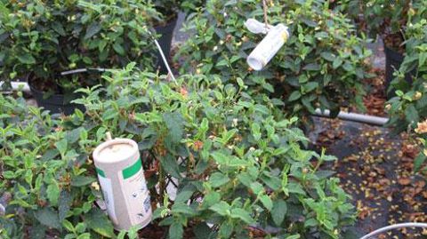 Certaines actions du plan en consultation sont déjà engagées, notamment la proposition législative relative à la séparation des activités de vente et de conseil, qui doit orienter vers des solutions alternatives. (c)Valérie Vidril Certaines actions du plan en consultation sont déjà engagées, notamment la proposition législative relative à la séparation des activités de vente et de conseil, qui doit orienter vers des solutions alternatives. (c)Valérie Vidril