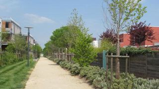 Les pépiniéristes cherchent à anticiper les demandes de leurs clients concepteurs en matière de palette végétale. De nombreux facteurs ont des répercussions sur cette dernière : changement climatique, risques phytosanitaires, biodiversité... ©Valérie Vidril Les pépiniéristes cherchent à anticiper les demandes de leurs clients concepteurs en matière de palette végétale. De nombreux facteurs ont des répercussions sur cette dernière : changement climatique, risques phytosanitaires, biodiversité...  Les pépiniéristes cherchent à anticiper les demandes de leurs clients concepteurs en matière de palette végétale. De nombreux facteurs ont des répercussions sur cette dernière : changement climatique, risques phytosanitaires, biodiversité... ©Valérie Vidril Les pépiniéristes cherchent à anticiper les demandes de leurs clients concepteurs en matière de palette végétale. De nombreux facteurs ont des répercussions sur cette dernière : changement climatique, risques phytosanitaires, biodiversité...