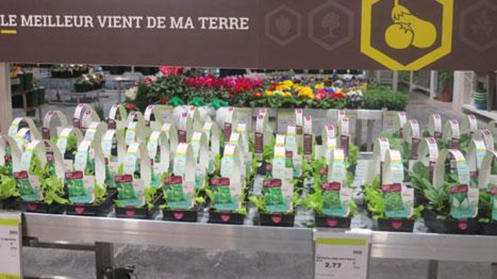 Côté végétal, Espace Emeraude fait preuve d'originalité en se focalisant sur les fruitiers et le potager, avec, en sus, des plantes utiles et faciles. (c)Patrick Glémas Côté végétal, Espace Emeraude fait preuve d'originalité en se focalisant sur les fruitiers et le potager, avec, en sus, des plantes utiles et faciles. (c)Patrick Glémas Côté végétal, Espace Emeraude fait preuve d'originalité en se focalisant sur les fruitiers et le potager, avec, en sus, des plantes utiles et faciles. (c)Patrick Glémas Côté végétal, Espace Emeraude fait preuve d'originalité en se focalisant sur les fruitiers et le potager, avec, en sus, des plantes utiles et faciles. (c)Patrick Glémas
