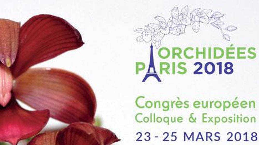 Le congrès européen d'orchidées a lieu tous les trois ans et accueille près de 15 000 visiteurs. Le congrès européen d'orchidées a lieu tous les trois ans et accueille près de 15 000 visiteurs. Le congrès européen d'orchidées a lieu tous les trois ans et accueille près de 15 000 visiteurs. Le congrès européen d'orchidées a lieu tous les trois ans et accueille près de 15 000 visiteurs.