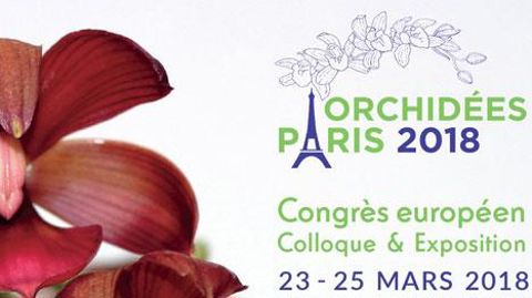 Le congrès européen d'orchidées a lieu tous les trois ans et accueille près de 15 000 visiteurs. Le congrès européen d'orchidées a lieu tous les trois ans et accueille près de 15 000 visiteurs.