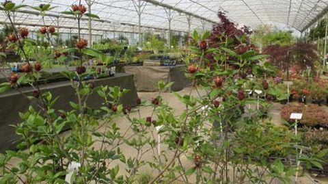 La vente directe chez le producteur aura été le secteur qui s'est le mieux comporté en 2016, selon le dernier Observatoire de la filière de FranceAgriMer. (c)Pascal Fayolle La vente directe chez le producteur aura été le secteur qui s'est le mieux comporté en 2016, selon le dernier Observatoire de la filière de FranceAgriMer. (c)Pascal Fayolle