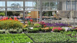 Dix ans après Biarritz (64), le congrès FNPHP revient dans le Sud-Ouest. La première journée se déroulera au sein de la station Astredhor Sud-Ouest GIE Fleurs et plantes. (c)Valérie Vidril Dix ans après Biarritz (64), le congrès FNPHP revient dans le Sud-Ouest. La première journée se déroulera au sein de la station Astredhor Sud-Ouest GIE Fleurs et plantes. (c)Valérie Vidril Dix ans après Biarritz (64), le congrès FNPHP revient dans le Sud-Ouest. La première journée se déroulera au sein de la station Astredhor Sud-Ouest GIE Fleurs et plantes. (c)Valérie Vidril Dix ans après Biarritz (64), le congrès FNPHP revient dans le Sud-Ouest. La première journée se déroulera au sein de la station Astredhor Sud-Ouest GIE Fleurs et plantes. (c)Valérie Vidril