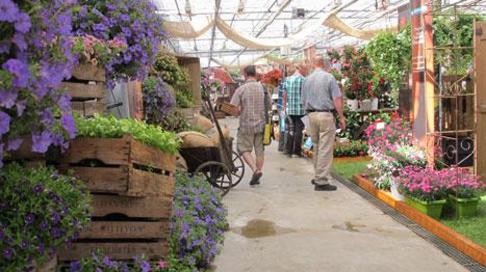 Les « trials » fluctuent entre vrais essais culturaux, démonstrations variétales, show marketing, routes et vitrines de nouveautés... Ici chez le diffuseur Moerheim en 2014. (c)Odile Maillard Les « trials » fluctuent entre vrais essais culturaux, démonstrations variétales, show marketing, routes et vitrines de nouveautés... Ici chez le diffuseur Moerheim en 2014. (c)Odile Maillard Les « trials » fluctuent entre vrais essais culturaux, démonstrations variétales, show marketing, routes et vitrines de nouveautés... Ici chez le diffuseur Moerheim en 2014. (c)Odile Maillard Les « trials » fluctuent entre vrais essais culturaux, démonstrations variétales, show marketing, routes et vitrines de nouveautés... Ici chez le diffuseur Moerheim en 2014. (c)Odile Maillard