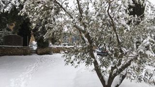 Après un bon départ en janvier, la pluie, la neige et le froid ont considérablement perturbé le marché du jardin début 2018. (c)Pascal Fayolle. Après un bon départ en janvier, la pluie, la neige et le froid ont considérablement perturbé le marché du jardin début 2018. (c)Pascal Fayolle. Après un bon départ en janvier, la pluie, la neige et le froid ont considérablement perturbé le marché du jardin début 2018. (c)Pascal Fayolle. Après un bon départ en janvier, la pluie, la neige et le froid ont considérablement perturbé le marché du jardin début 2018. (c)Pascal Fayolle.