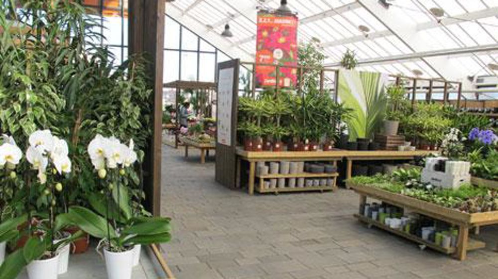 On devrait savoir en septembre si l'enseigne Jardiland passe sous la coupe d'In Vivo. D'ici là, l'autorité de la concurrence devrait avoir rendu son avis. (c)Pascal Fayolle On devrait savoir en septembre si l'enseigne Jardiland passe sous la coupe d'In Vivo. D'ici là, l'autorité de la concurrence devrait avoir rendu son avis. (c)Pascal Fayolle On devrait savoir en septembre si l'enseigne Jardiland passe sous la coupe d'In Vivo. D'ici là, l'autorité de la concurrence devrait avoir rendu son avis. (c)Pascal Fayolle On devrait savoir en septembre si l'enseigne Jardiland passe sous la coupe d'In Vivo. D'ici là, l'autorité de la concurrence devrait avoir rendu son avis. (c)Pascal Fayolle