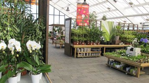 On devrait savoir en septembre si l'enseigne Jardiland passe sous la coupe d'In Vivo. D'ici là, l'autorité de la concurrence devrait avoir rendu son avis. (c)Pascal Fayolle On devrait savoir en septembre si l'enseigne Jardiland passe sous la coupe d'In Vivo. D'ici là, l'autorité de la concurrence devrait avoir rendu son avis. (c)Pascal Fayolle