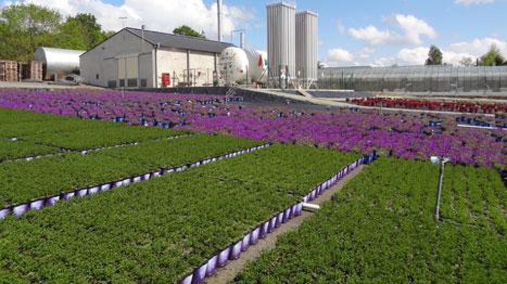 La quête du niveau HVE passe par les conditions de travail, la réduction des pesticides, le développement de la PBI, un chauffage mieux raisonné, et des interactions avec les partenaires locaux. (c)Barrault Horticulture La quête du niveau HVE passe par les conditions de travail, la réduction des pesticides, le développement de la PBI, un chauffage mieux raisonné, et des interactions avec les partenaires locaux. (c)Barrault Horticulture