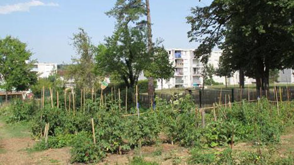 Les conférences liées au paysage évoluent cette année, en passant sur un format plus court. Le Lien horticole reste partenaire du Salon pour des séries de conférences chaque matin à 10 h 30, 11 h 15 et midi. ©Pascal Fayolle Les conférences liées au paysage évoluent cette année, en passant sur un format plus court. Le Lien horticole reste partenaire du Salon pour des séries de conférences chaque matin à 10 h 30, 11 h 15 et midi. ©Pascal Fayolle Les conférences liées au paysage évoluent cette année, en passant sur un format plus court. Le Lien horticole reste partenaire du Salon pour des séries de conférences chaque matin à 10 h 30, 11 h 15 et midi. ©Pascal Fayolle Les conférences liées au paysage évoluent cette année, en passant sur un format plus court. Le Lien horticole reste partenaire du Salon pour des séries de conférences chaque matin à 10 h 30, 11 h 15 et midi. ©Pascal Fayolle