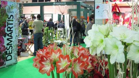 Dans les allées du Salon du végétal 2015, à Angers (49), les interrogations ont été nombreuses : comment dessiner un avenir plus serein pour un salon que personne ne veut voir mourir... ©Valérie Vidril Dans les allées du Salon du végétal 2015, à Angers (49), les interrogations ont été nombreuses : comment dessiner un avenir plus serein pour un salon que personne ne veut voir mourir... ©Valérie Vidril