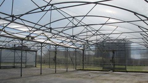 Toute installation nécessite un apport personnel. Le livret Projet Agri permet d'épargner jusqu'à 20 ans avant l'installation, de demander un prêt jusqu'à 5 ans après l'installation, ou de faire bénéficier de son épargne à un(e) candidat(e). ©Odile Maillard Toute installation nécessite un apport personnel. Le livret Projet Agri permet d'épargner jusqu'à 20 ans avant l'installation, de demander un prêt jusqu'à 5 ans après l'installation, ou de faire bénéficier de son épargne à un(e) candidat(e). 