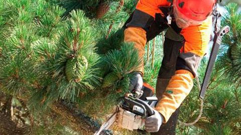 Pas moins de 415 accidents du travail graves, qui ont eu pour siège de lésion la zone « tête-cou-épaules », auraient pu être évités entre 2001 et 2014, rien qu'en Île-de-France, en respectant les règles de sécurité rappelées ici. ©A. Childeric-Petzl-Copalme Pas moins de 415 accidents du travail graves, qui ont eu pour siège de lésion la zone « tête-cou-épaules », auraient pu être évités entre 2001 et 2014, rien qu'en Île-de-France, en respectant les règles de sécurité rappelées ici. ©A. Childeri