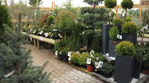 Au sein des deux sites pilotes, l'offre est plus sélective et plus théâtralisée.  De nombreuses mises en avant sont installées çà et là, y compris dans la pépinière qui a été retravaillée pour mieux valoriser les végétaux.(c)Patrick glémas Au sein des deux sites pilotes, l'offre est plus sélective et plus théâtralisée.  De nombreuses mises en avant sont installées çà et là, y compris dans la pépinière qui a été retravaillée pour mieux valoriser les végétaux.(c)Patrick glémas