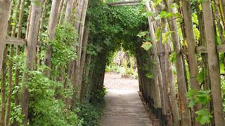 Passerelle en bois végétalisée dans le « Jardin des enfants », à Chaumont-sur-Loire 2013. ©Valérie Vidril Passerelle en bois végétalisée dans le « Jardin des enfants », à Chaumont-sur-Loire 2013. ©Valérie Vidril Passerelle en bois végétalisée dans le « Jardin des enfants », à Chaumont-sur-Loire 2013. ©Valérie Vidril Passerelle en bois végétalisée dans le « Jardin des enfants », à Chaumont-sur-Loire 2013. ©Valérie Vidril