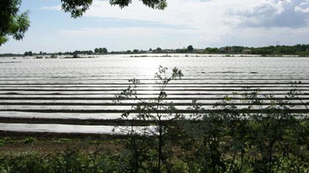 Hausse du prix des matières premières et problèmes d'approvisionnement : la filière s'inquiète d'une situation tendue concernant les plastiques agricoles.(c)Valérie Vidril Hausse du prix des matières premières et problèmes d'approvisionnement : la filière s'inquiète d'une situation tendue concernant les plastiques agricoles.(c)Valérie Vidril Hausse du prix des matières premières et problèmes d'approvisionnement : la filière s'inquiète d'une situation tendue concernant les plastiques agricoles.(c)Valérie Vidril Hausse du prix des matières premières et problèmes d'approvisionnement : la filière s'inquiète d'une situation tendue concernant les plastiques agricoles.(c)Valérie Vidril