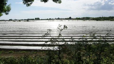 Hausse du prix des matières premières et problèmes d'approvisionnement : la filière s'inquiète d'une situation tendue concernant les plastiques agricoles.(c)Valérie Vidril Hausse du prix des matières premières et problèmes d'approvisionnement : la filière s'inquiète d'une situation tendue concernant les plastiques agricoles.(c)Valérie Vidril