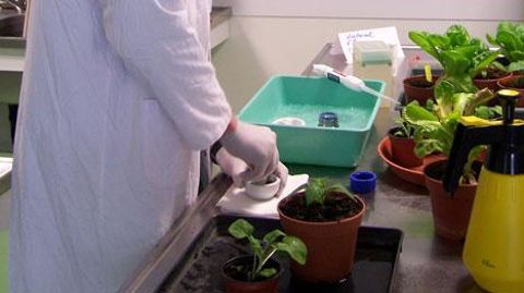 Les participants au séminaire  Les participants au séminaire 