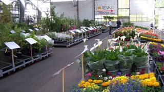 Située aux Ponts-de-Cé (49), la halle de Floriloire a accueilli la seconde édition de la bourse aux plantes.(c)Anne Mabire Située aux Ponts-de-Cé (49), la halle de Floriloire a accueilli la seconde édition de la bourse aux plantes.(c)Anne Mabire Située aux Ponts-de-Cé (49), la halle de Floriloire a accueilli la seconde édition de la bourse aux plantes.(c)Anne Mabire Située aux Ponts-de-Cé (49), la halle de Floriloire a accueilli la seconde édition de la bourse aux plantes.(c)Anne Mabire