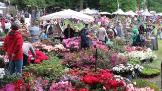 Environ 30 000 personnes ont été comptabilisées. Certaines n'étaient pas vraiment venues pour voir les plantes. Mais le mélange des visiteurs du château et de la manifestation a insufflé une nouvelle dynamique. (c)P. Glémas Environ 30 000 personnes ont été comptabilisées. Certaines n'étaient pas vraiment venues pour voir les plantes. Mais le mélange des visiteurs du château et de la manifestation a insufflé une nouvelle dynamique. (c)P. Glémas Environ 30 000 personnes ont été comptabilisées. Certaines n'étaient pas vraiment venues pour voir les plantes. Mais le mélange des visiteurs du château et de la manifestation a insufflé une nouvelle dynamique. (c)P. Glémas Environ 30 000 personnes ont été comptabilisées. Certaines n'étaient pas vraiment venues pour voir les plantes. Mais le mélange des visiteurs du château et de la manifestation a insufflé une nouvelle dynamique. (c)P. Glémas