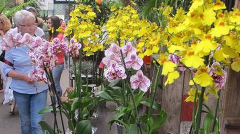 En 2014, les achats de végétaux d'intérieur sont restés relativement stables, selon le panel de FranceAgriMer. La situation est plus compliquée pour les végétaux d'extérieur ©Pascal Fayolle En 2014, les achats de végétaux d'intérieur sont restés relativement stables, selon le panel de FranceAgriMer. La situation est plus compliquée pour les végétaux d'extérieur ©Pascal Fayolle