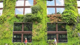 En lançant le manifeste « Des Jardins pour le climat », l'Unep souhaite mobiliser les citoyens avant le COP 21 et interpeller les décideurs sur « le potentiel largement sous-estimé du végétal et des jardins pour adapter l'humanité aux nouvelles conditions climatiques ». ©Valérie Vidril En lançant le manifeste « Des Jardins pour le climat », l'Unep souhaite mobiliser les citoyens avant le COP 21 et interpeller les décideurs sur « le potentiel largement sous-estimé du végétal et des jardins pour a En lançant le manifeste « Des Jardins pour le climat », l'Unep souhaite mobiliser les citoyens avant le COP 21 et interpeller les décideurs sur « le potentiel largement sous-estimé du végétal et des jardins pour adapter l'humanité aux nouvelles conditions climatiques ». ©Valérie Vidril En lançant le manifeste « Des Jardins pour le climat », l'Unep souhaite mobiliser les citoyens avant le COP 21 et interpeller les décideurs sur « le potentiel largement sous-estimé du végétal et des jardins pour a
