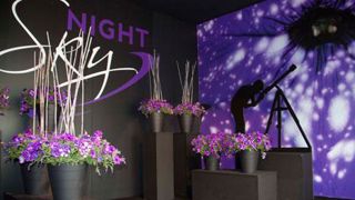 Petunia 'NightSky', obtention de Selecta Italia (filiale de Selecta Klemm) a reçu le prix FleuroStar 2015/2016 pour son effet Petunia 'NightSky', obtention de Selecta Italia (filiale de Selecta Klemm) a reçu le prix FleuroStar 2015/2016 pour son effet Petunia 'NightSky', obtention de Selecta Italia (filiale de Selecta Klemm) a reçu le prix FleuroStar 2015/2016 pour son effet Petunia 'NightSky', obtention de Selecta Italia (filiale de Selecta Klemm) a reçu le prix FleuroStar 2015/2016 pour son effet