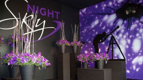 Petunia 'NightSky', obtention de Selecta Italia (filiale de Selecta Klemm) a reçu le prix FleuroStar 2015/2016 pour son effet  Petunia 'NightSky', obtention de Selecta Italia (filiale de Selecta Klemm) a reçu le prix FleuroStar 2015/2016 pour son effet 