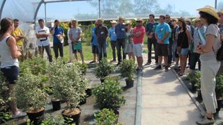 La journée organisée par Astredhor Sud-Ouest GIE Fleurs et plantes a attiré un nombre record de professionnels. Ici, un groupe attentif aux explications d'Anthony Droui et Fanny Bellec sur les  La journée organisée par Astredhor Sud-Ouest GIE Fleurs et plantes a attiré un nombre record de professionnels. Ici, un groupe attentif aux explications d'Anthony Droui et Fanny Bellec sur les  La journée organisée par Astredhor Sud-Ouest GIE Fleurs et plantes a attiré un nombre record de professionnels. Ici, un groupe attentif aux explications d'Anthony Droui et Fanny Bellec sur les  La journée organisée par Astredhor Sud-Ouest GIE Fleurs et plantes a attiré un nombre record de professionnels. Ici, un groupe attentif aux explications d'Anthony Droui et Fanny Bellec sur les