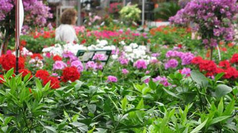 Un ERP qui n'a pas été mis en accessibilité au 1er janvier 2015 doit fournir un Agenda d'accessibilité programmé sur trois ans (Ad'Ap) avant le 27 septembre. ©Pascal Fayolle Un ERP qui n'a pas été mis en accessibilité au 1er janvier 2015 doit fournir un Agenda d'accessibilité programmé sur trois ans (Ad'Ap) avant le 27 septembre. ©Pascal Fayolle